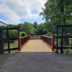 Lupa Zoo - Domestic waterfowl pond