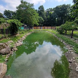 Lupa Zoo - Domestic waterfowl pond