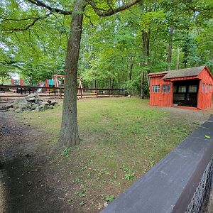 Lupa Zoo - Large tortoises