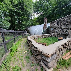 Lupa Zoo - Something? Nothing?