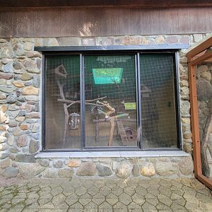 Lupa Zoo - Domestic pigeons, lovebirds, etc