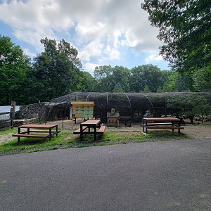 Lupa Zoo - Pheasant aviary that's mostly chickens