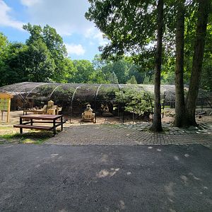 Lupa Zoo - Pheasant aviary that's mostly chickens