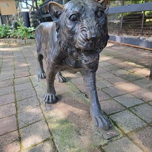 Lupa Zoo - Tiger statue (they have a ton of statues)