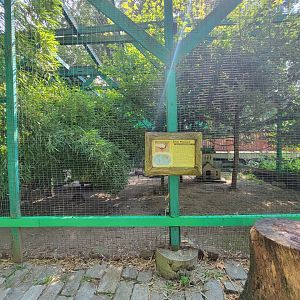 Lupa Zoo - Silver pheasant, maybe?