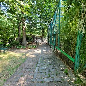 Lupa Zoo - Path by pigeons