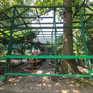 Lupa Zoo - Pigeons, peafowl, chickens, etc