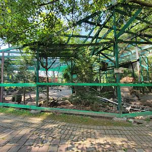 Lupa Zoo - Mixed aviary, signed for red-tailed hawk