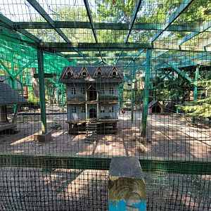 Lupa Zoo - A bird house that has seen some things