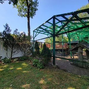 Lupa Zoo - Corner of zoo / someone's backyard