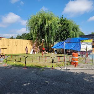 Lupa Zoo - The worst train ride