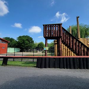 Lupa Zoo - Plains zebras, signed as grevy's (and not giraffes)