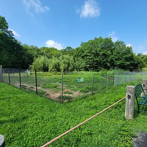 Lupa Zoo - Tapir, capybara
