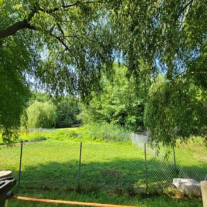 Lupa Zoo - Far corner of tapir and capybara yard