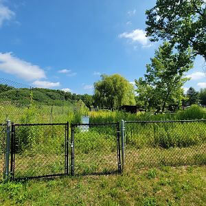 Lupa Zoo - Bee hives