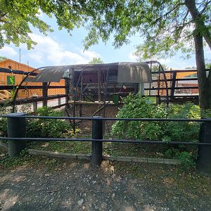 Lupa Zoo - Blue & gold macaws