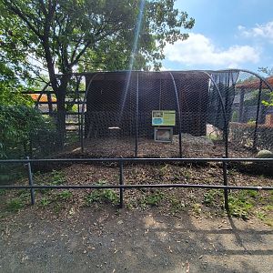 Lupa Zoo - Arctic fox