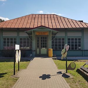 Amfibias and reptiles of Latvia