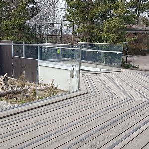 Eurasian otter exhibit
