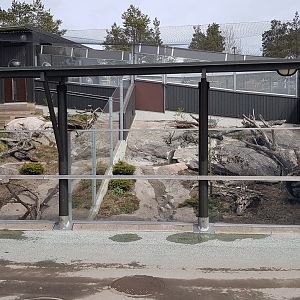 European mink exhibit