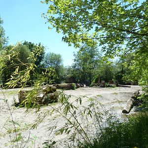 Grèvy zebra enclosure