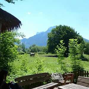 African savanna seen from Lion house viewing point
