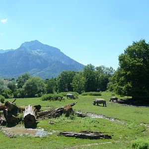African savanna with the Untersberg in the background