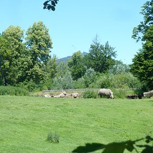 African savanna seen from the Vogelwiesse towards the Lion house