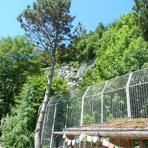 Snow leopard enclosure