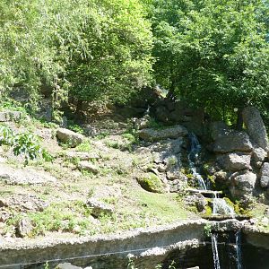 European chamois enclosure