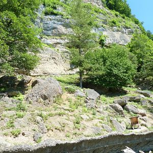 European chamois enclosure