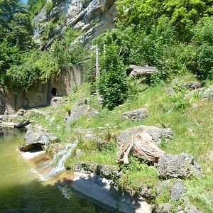European brown bear enclosure