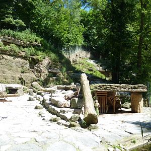 Alpine ibex enclosure