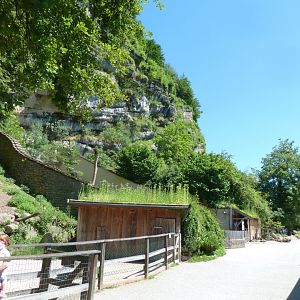 Central pathway seen from Alpine ibex towards wolverine/brown bear