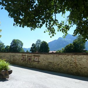 General view seen from brown bear enclosure
