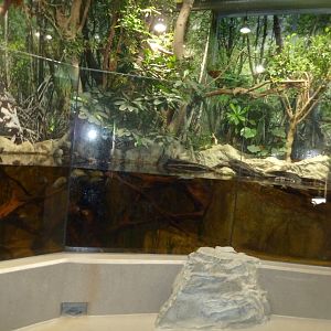 Gibbon house - Aqua-terrarium