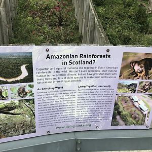 Living links signage