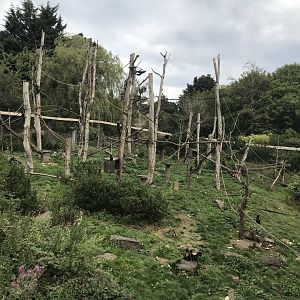 Living links east enclosure