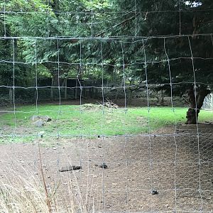 Visayan spotted deer enclosure
