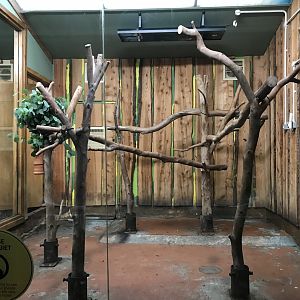 Gonaroo’s old enclosure