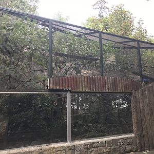 Scottish wildcat enclosure
