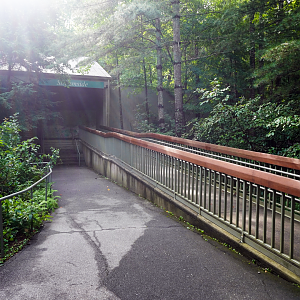 Aug. 2022 - North America: Streamside - Entrance