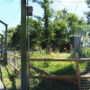 Section of the raptor village demolished for expansion of the farm area, 2022-06-28