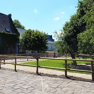 Farm area - Alpaca and Pygmy goat paddock, 2022-06-28