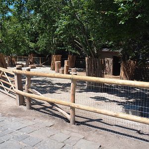 Farm area - Dwarf goat and Mini pig paddock, 2022-06-28