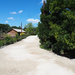 Walkway in The Last Frontier, 2022-06-28