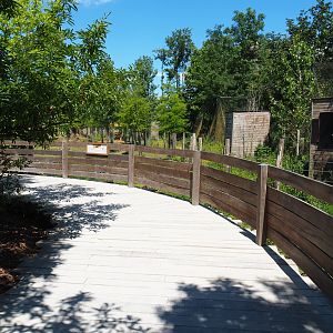 Wapiti viewing area, 2022-06-28