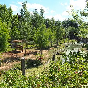 Wapiti exhibit, 2022-06-28