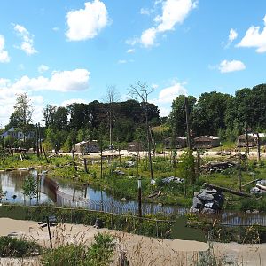 American black bear exhibit, 2022-06-28