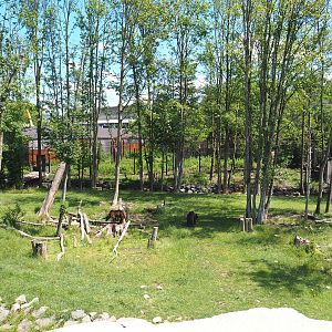 Eurasian brown bear and Eurasian grey wolf exhibit, 2022-06-28